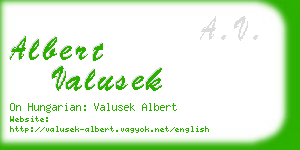 albert valusek business card